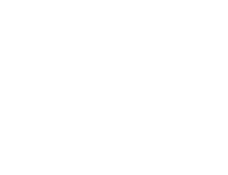 Logo 40 Anos